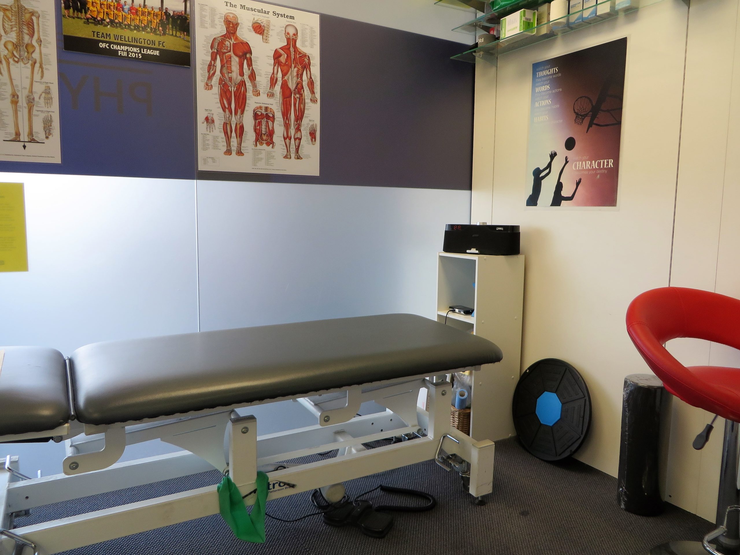 Stoddard Road Physio: Our Physiotherapy Focus